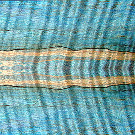 u[J[[[v(Blue Curly maple)