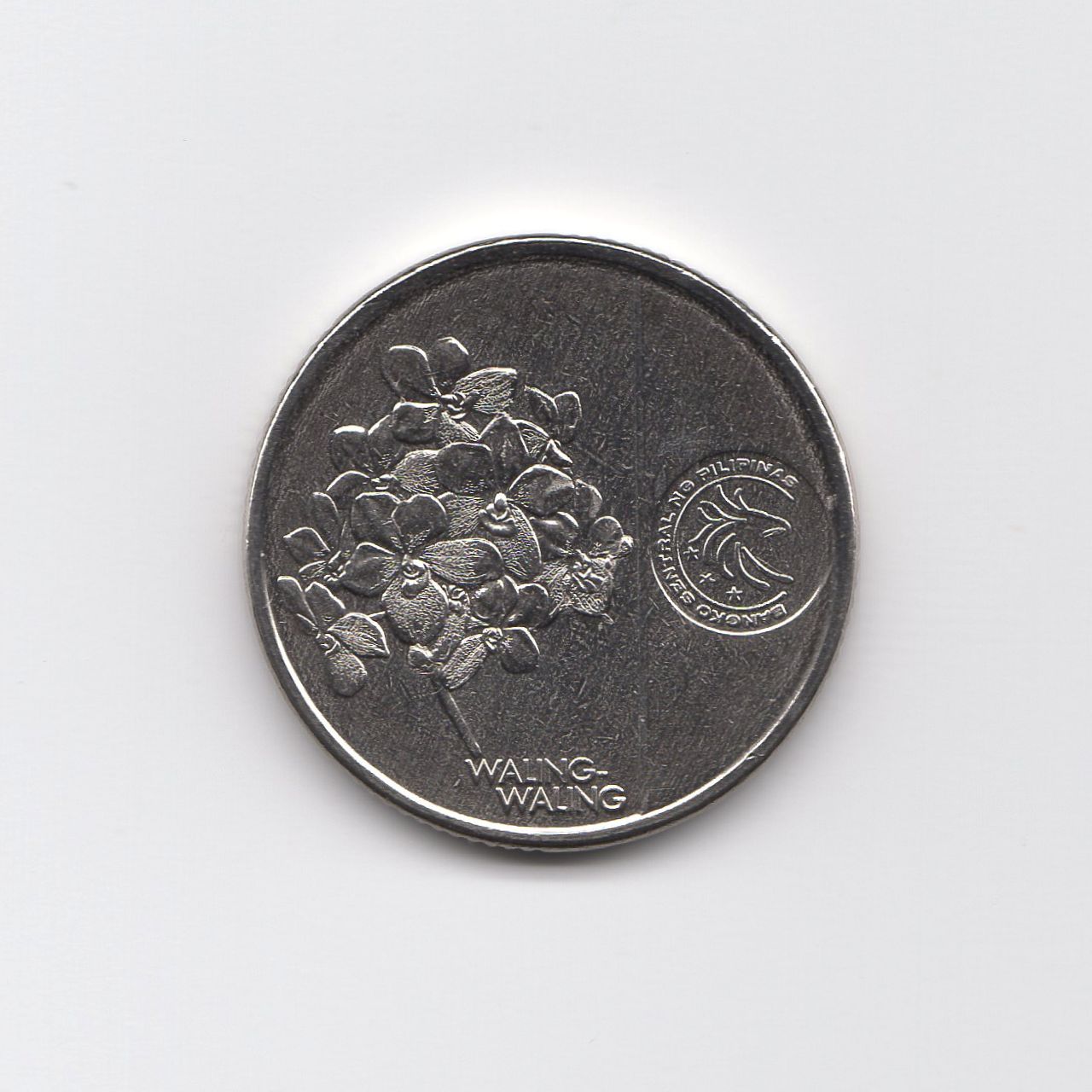 2018年 1 PISO