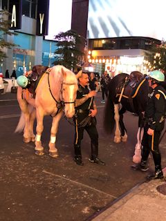 j[[NFj[[Nsx@RniNew York City Police Department Mounted Unitj